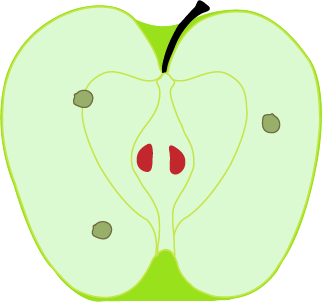 pomme page d'accueil